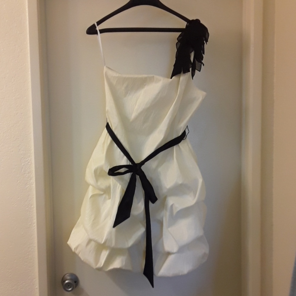 Torrid swan dress